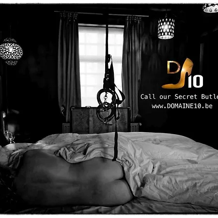 Domaine 10